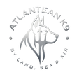 Atlantean K9